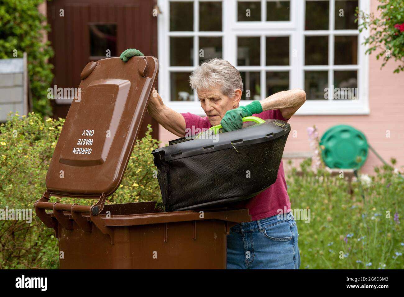 Hampshire, Inghilterra, Regno Unito. 2021. Donna che svuota i talee d'erba in un bidone di wheelie marrone di spreco di giardino. Foto Stock