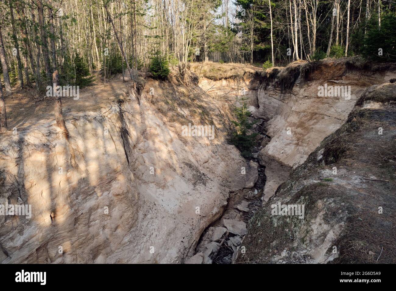 Immagine di bellissimo paesaggio con foresta e rocce Foto Stock