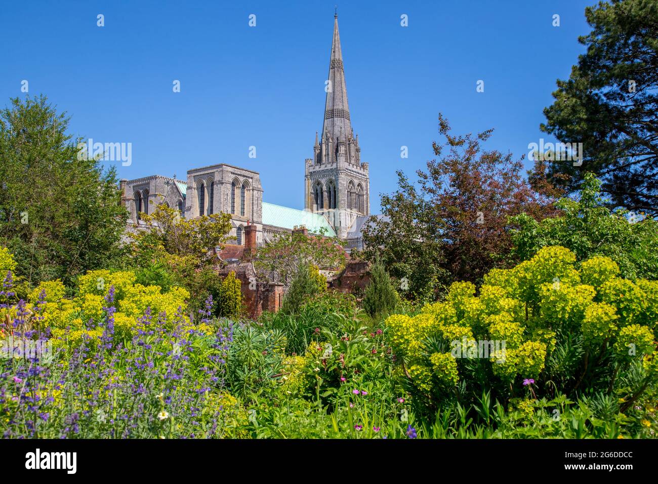 Cattedrale di Chichester dal Bishop's Palace Garden, Chichester, West Sussex Foto Stock