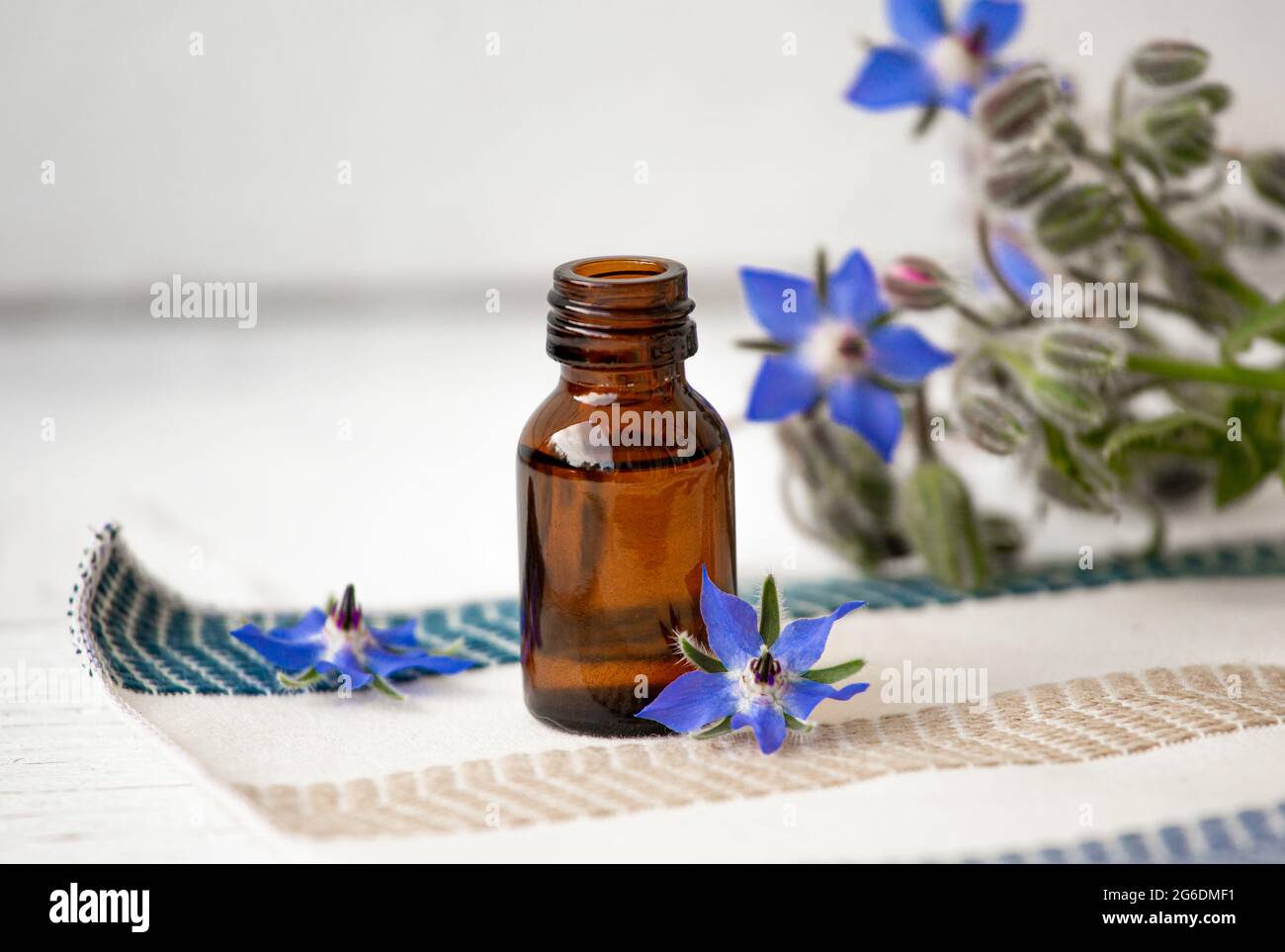 Borago officinalis (Borago o borragine) bottiglia d'olio con fiori freschi sparsi intorno. Concetto di medicina di erbe. Spazio di copia. Foto Stock