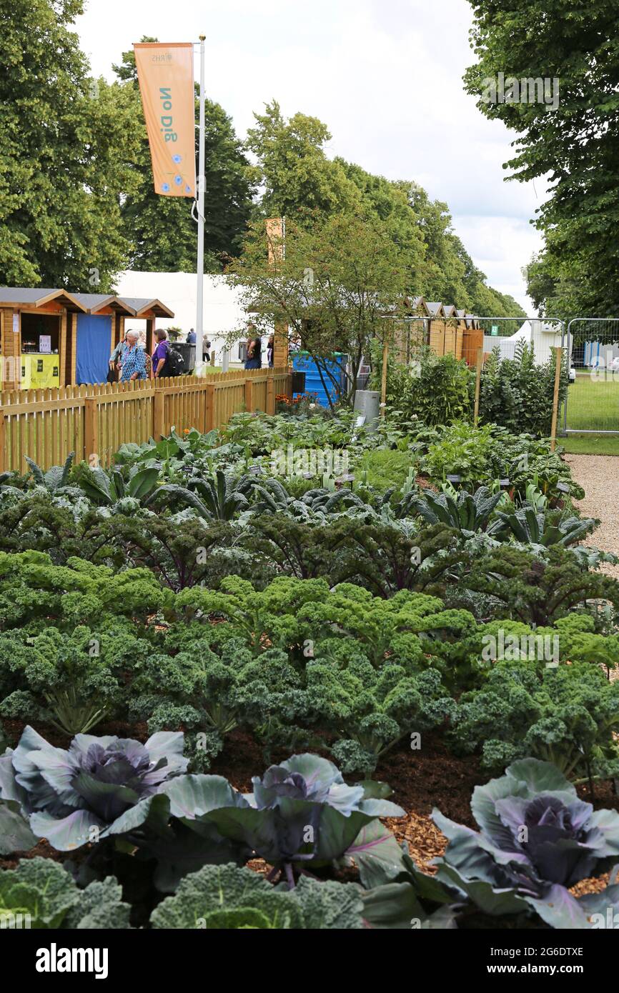 'No Dig Allootment' RHS Feature Garden, RHS Hampton Court Palace Garden Festival 2021, Preview Day, 5 luglio 2021, Londra, Inghilterra, REGNO UNITO Foto Stock