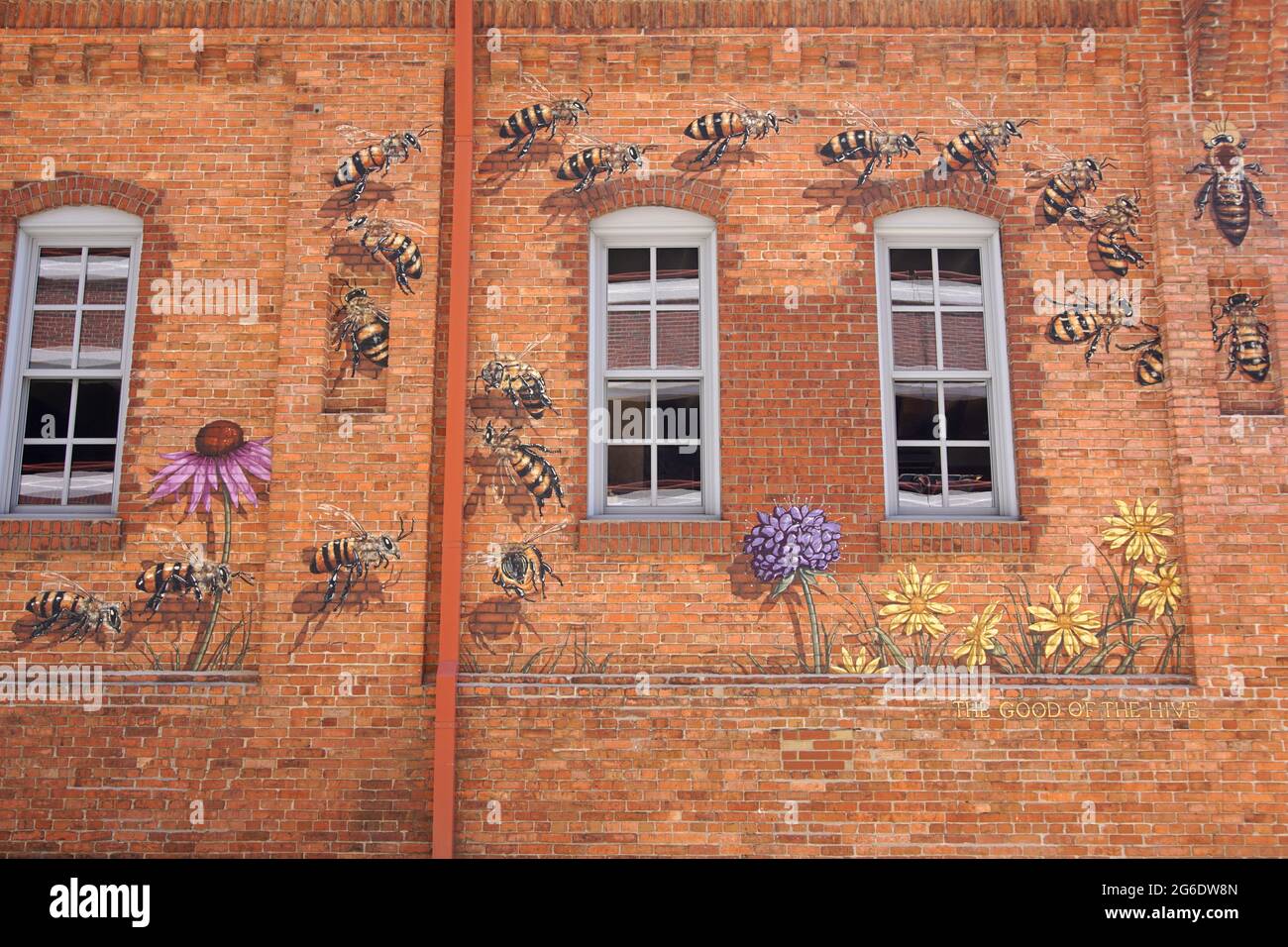 Una porzione del murale delle api dipinta sul lato della sede centrale di Burts Bees nel centro di Durham, North Carolina Foto Stock