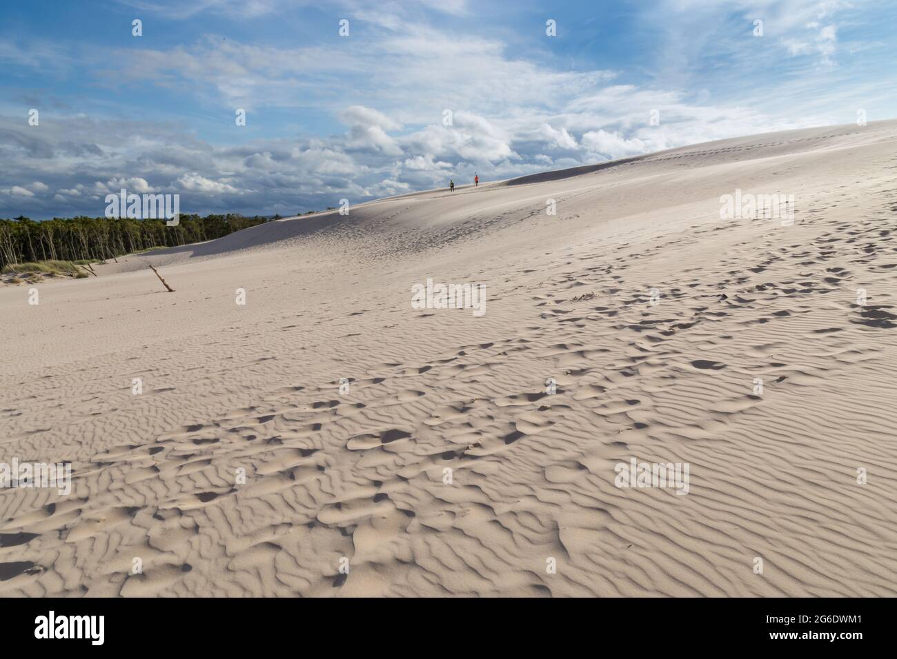 Vista delle dune nel Parco Nazionale Slowinski in estate Foto Stock