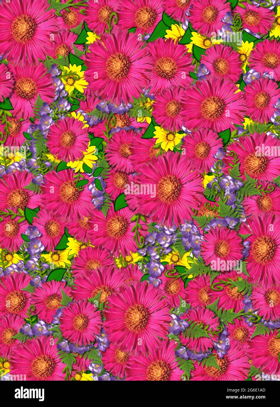Immagine di copertina di un tappeto di fiori. Le margherite rosa shasta e i  fiori gialli e viola formano il tappeto di fiori Foto stock - Alamy