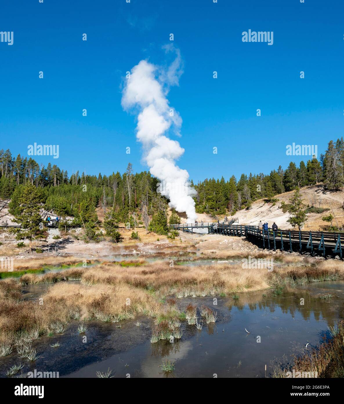 Vulcano fango, sorgente termale a vapore sul retro, sorgente della bocca del Drago, Parco Nazionale di Yellowstone, Wyoming, Stati Uniti Foto Stock