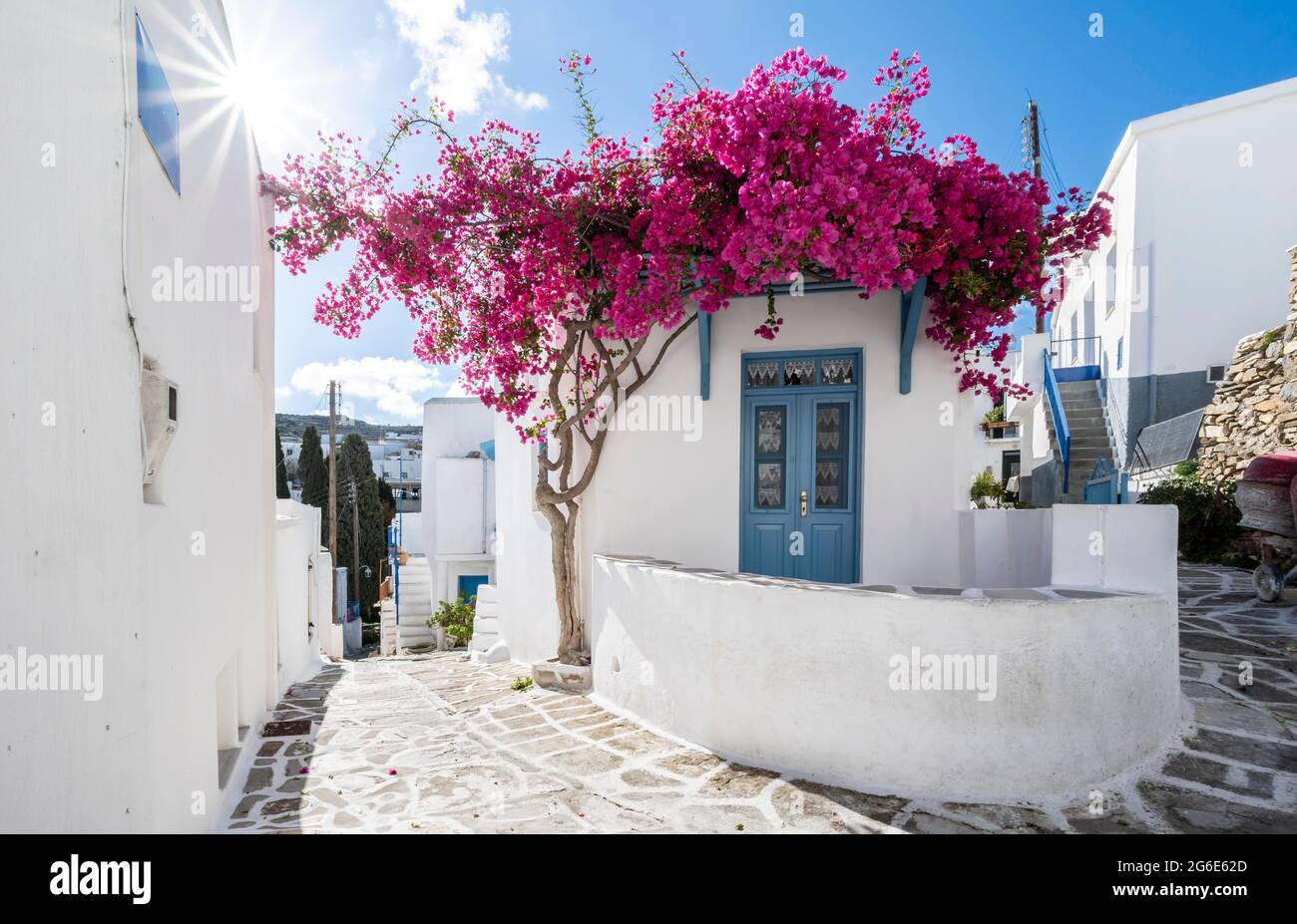 Bianco-blu case con fiore viola Bougainvillea (Bougainvillea), città vecchia di Lefkes, Paros, Cicladi, Grecia Foto Stock