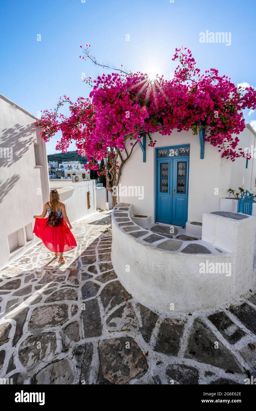 Bianco-blu case con fiore viola Bougainvillea (Bougainvillea), giovane donna con abito rosso nel centro storico di Lefkes, Paros, Cicladi, Grecia Foto Stock