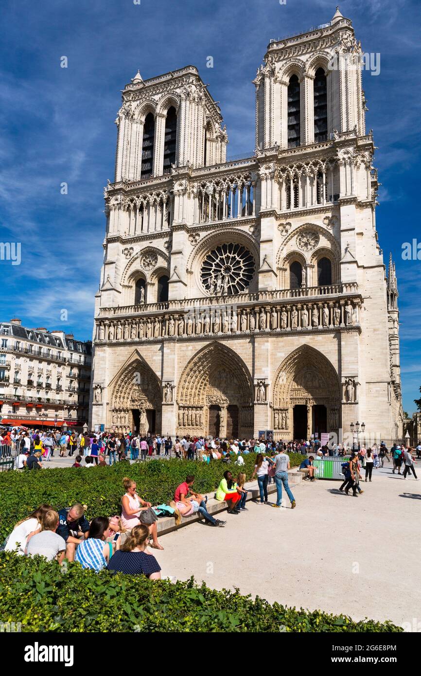 Cattedrale di Notre-Dame, Isola della Senna, Ile de la Cite, Parigi, Francia Foto Stock