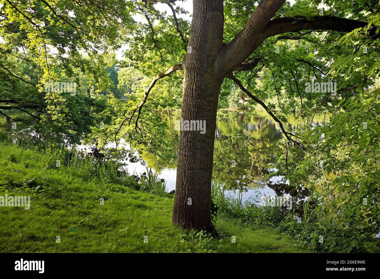 Bremer Wallanlagen, il primo parco pubblico in Germania, Brema, Germania Foto Stock