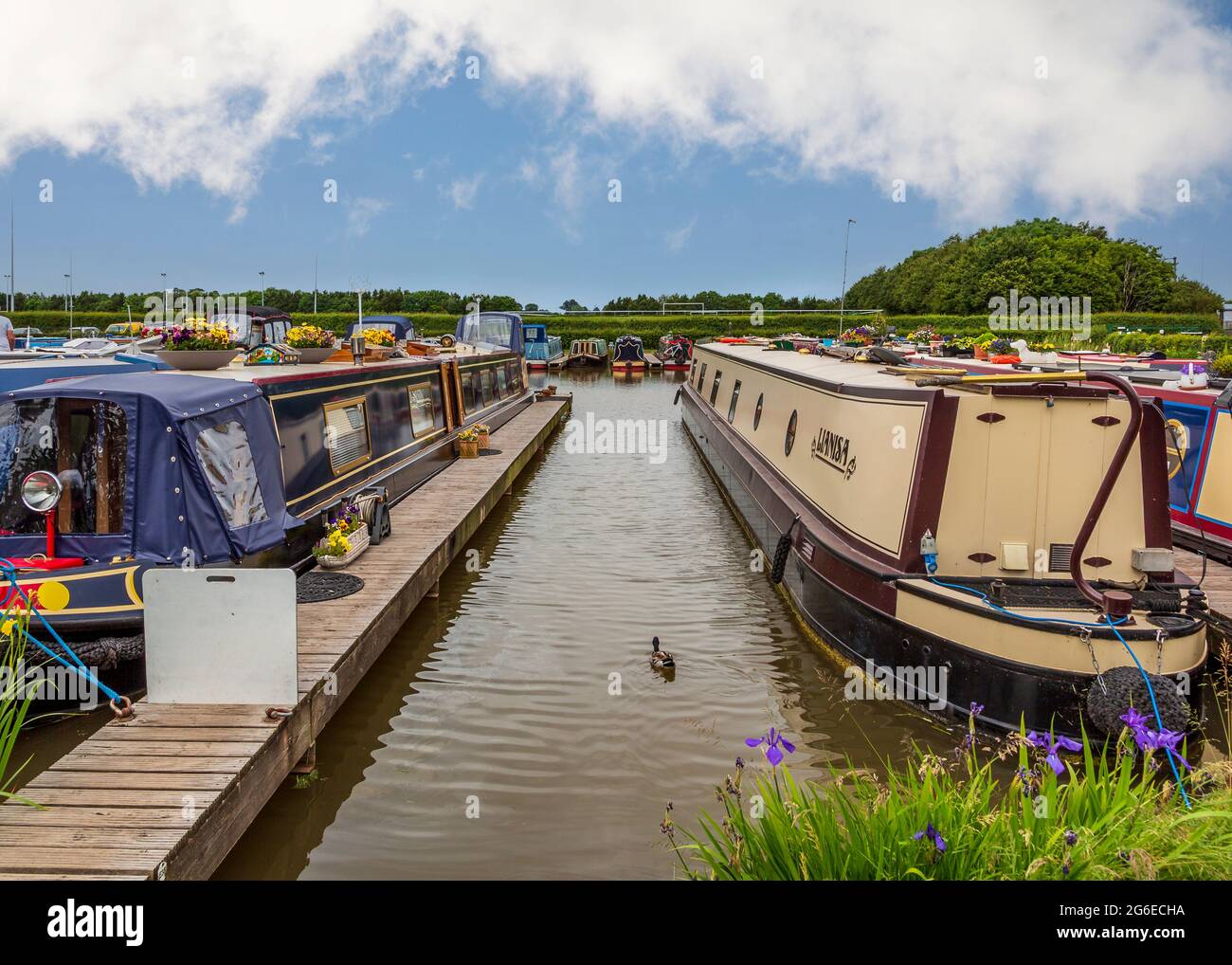 Droitwich Spa Marina, Droitwich, Worcestershire, Inghilterra. Foto Stock