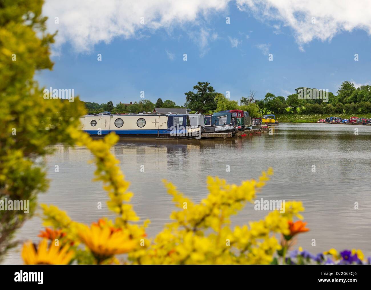 Droitwich Spa Marina, Droitwich, Worcestershire, Inghilterra. Foto Stock