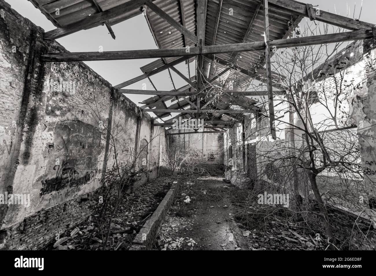 Abbandonato treno da una stazione ferroviaria chiusa a Gómez, Buenos Aires, Argentina Foto Stock