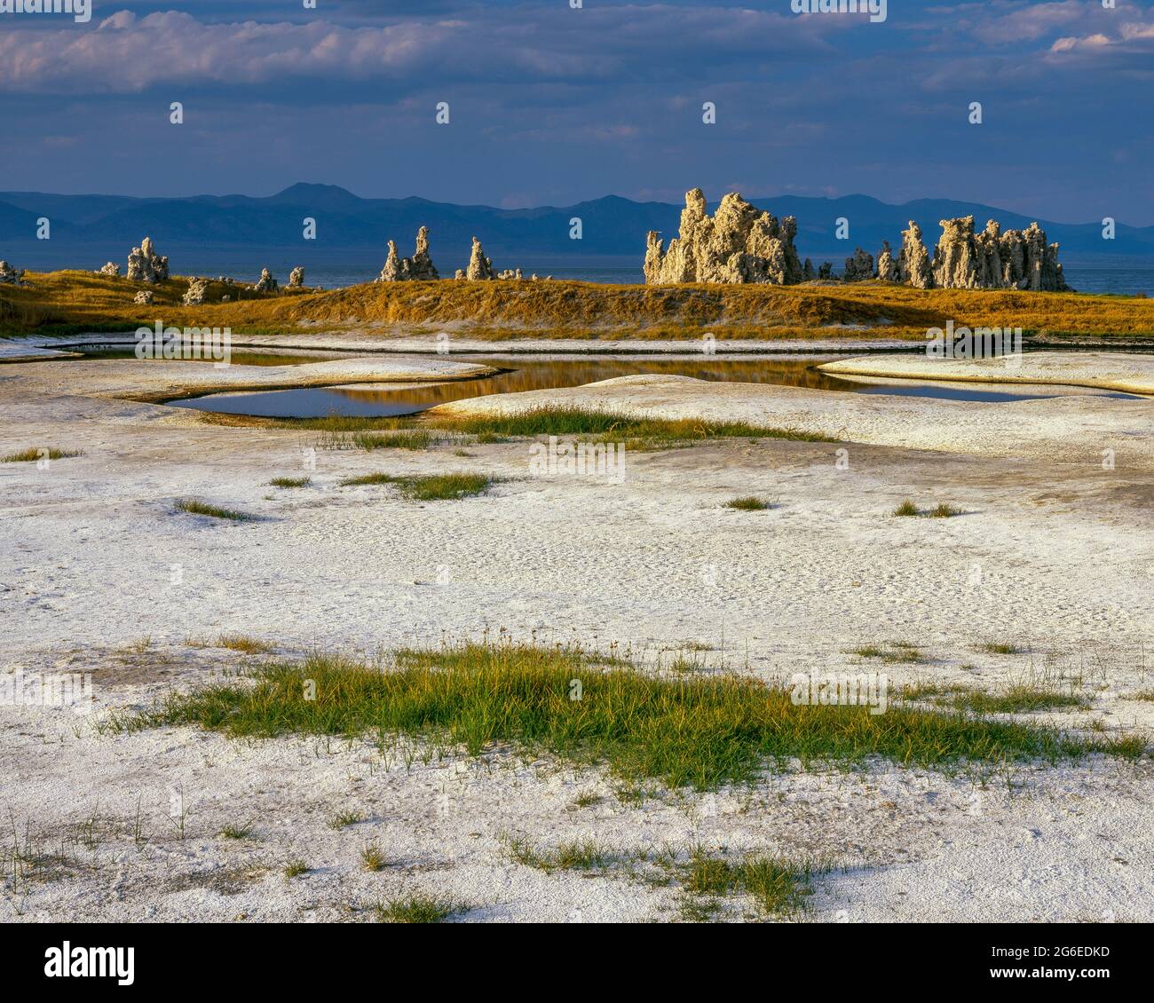 Siccità, zone umide, Mono Basin National Forest Scenic Area, Inyo National Forest, Eastern Sierra, California Foto Stock