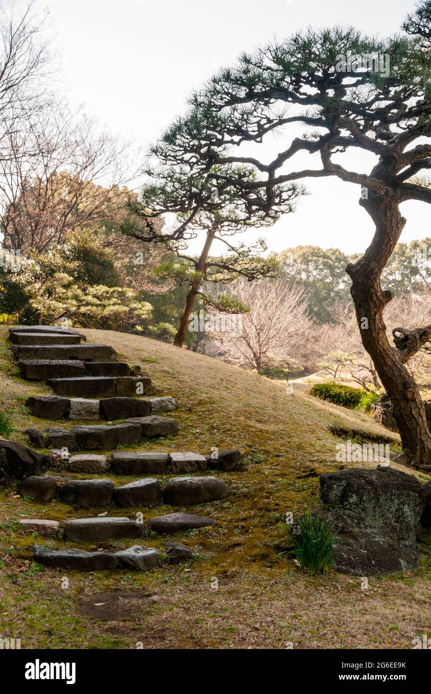 Il giardino giapponese di Tokyo è stato progettato per suggerire luoghi lontani e fragilità dell'esistenza. Foto Stock