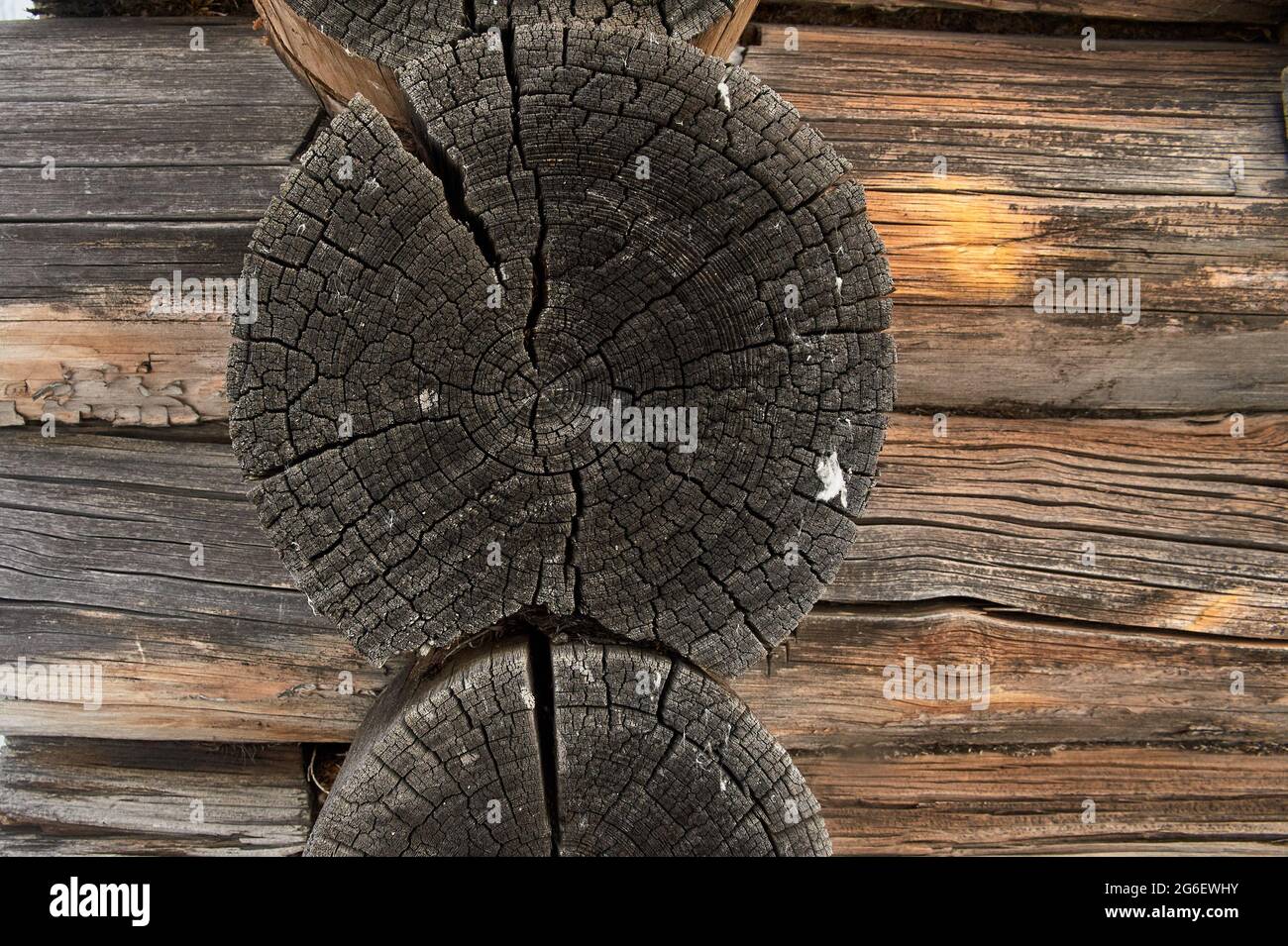 il muro di una casa di legno fatta di vecchi tronchi Foto Stock
