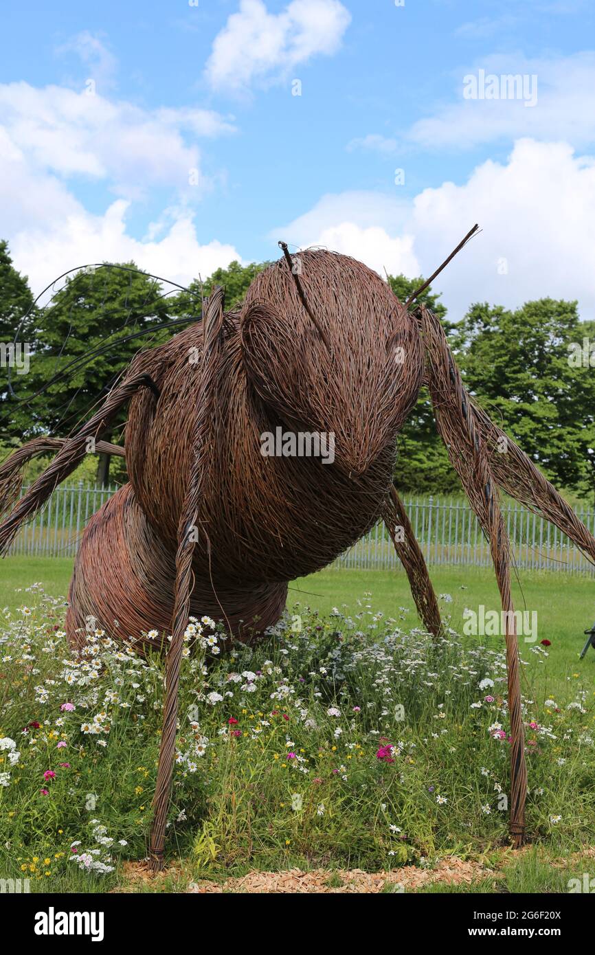 Bee Sculpture, RHS Hampton Court Palace Garden Festival 2021, Preview Day, 5 luglio 2021, Londra, Inghilterra, REGNO UNITO Foto Stock