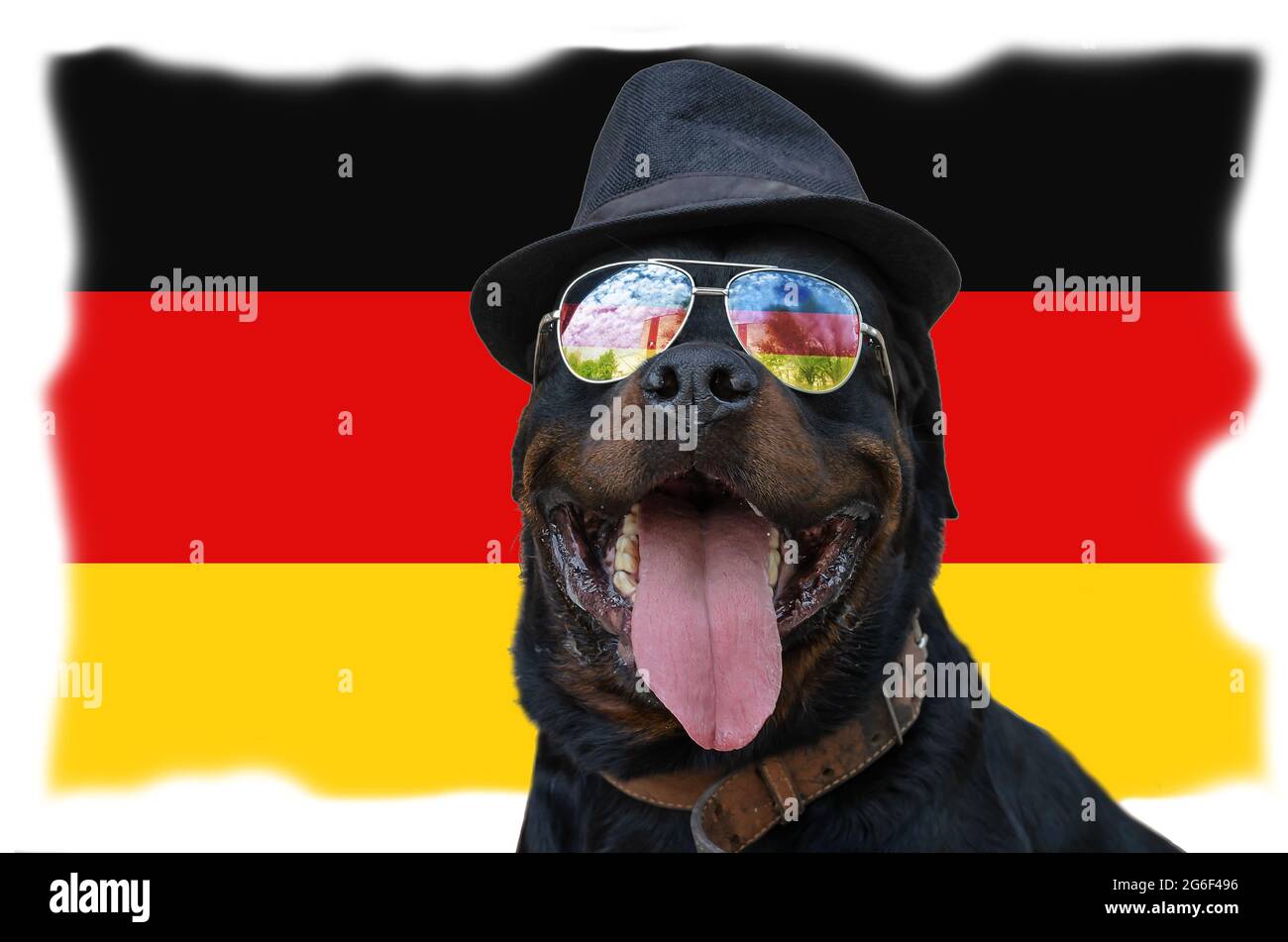 Cane nero con occhiali da sole e cappello si siede sullo sfondo della bandiera. Maschio Rottweiler di fronte alla bandiera nazionale tedesca. Potente e sicuro p Foto Stock