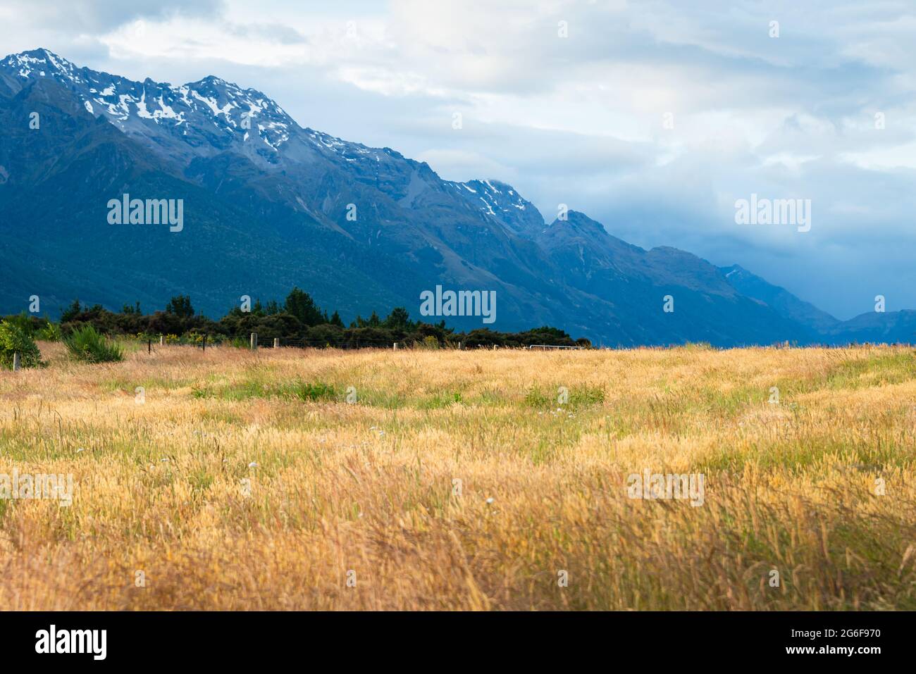 Montagne con erba gialla in primo piano, lungo Glenorchy e Queenstown Road, la regione di Otago, South Island Foto Stock