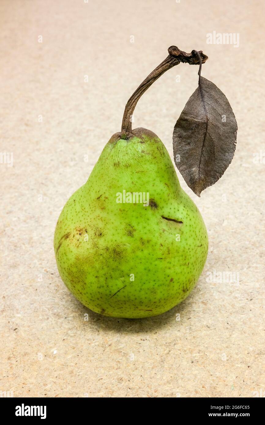 Una pera verde Foto Stock