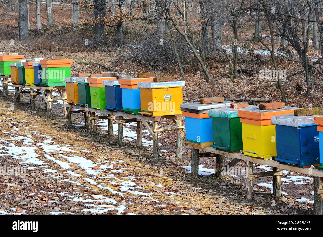 Multicolore di alveari in un parzialmente coperte di neve campo nella metà inverno Foto Stock