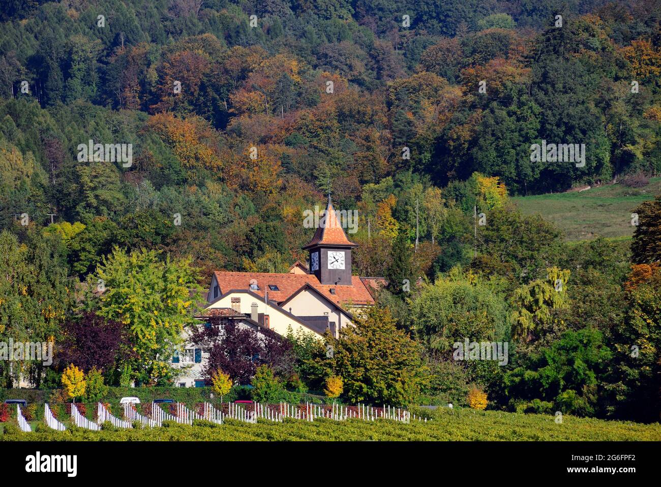 Vinzel - piccolo villaggio in vigneti e foreste, regione vinicola 'la Cote', distretto di Nyon, cantone di Vaud, Svizzera, Europa Foto Stock