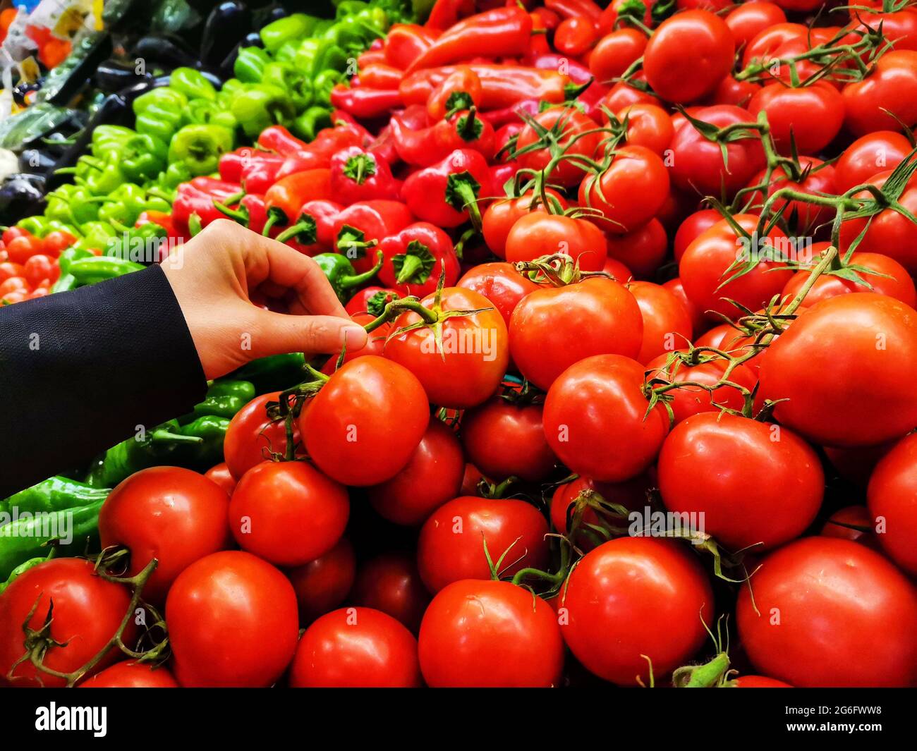 Negozi di alimentari. Pomodori rossi. Verdure nel corridoio della drogheria. Gente che compra i pomodori. Mano che compra i pomodori. Foto Stock