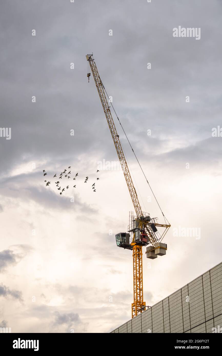 Gru a torre alta costruzione gialla al tramonto con gregge di uccelli che volano. Il lavoro ha fermato i cavi delle nubi del cielo drammatiche e il luogo di costruzione del gancio di sollevamento Foto Stock