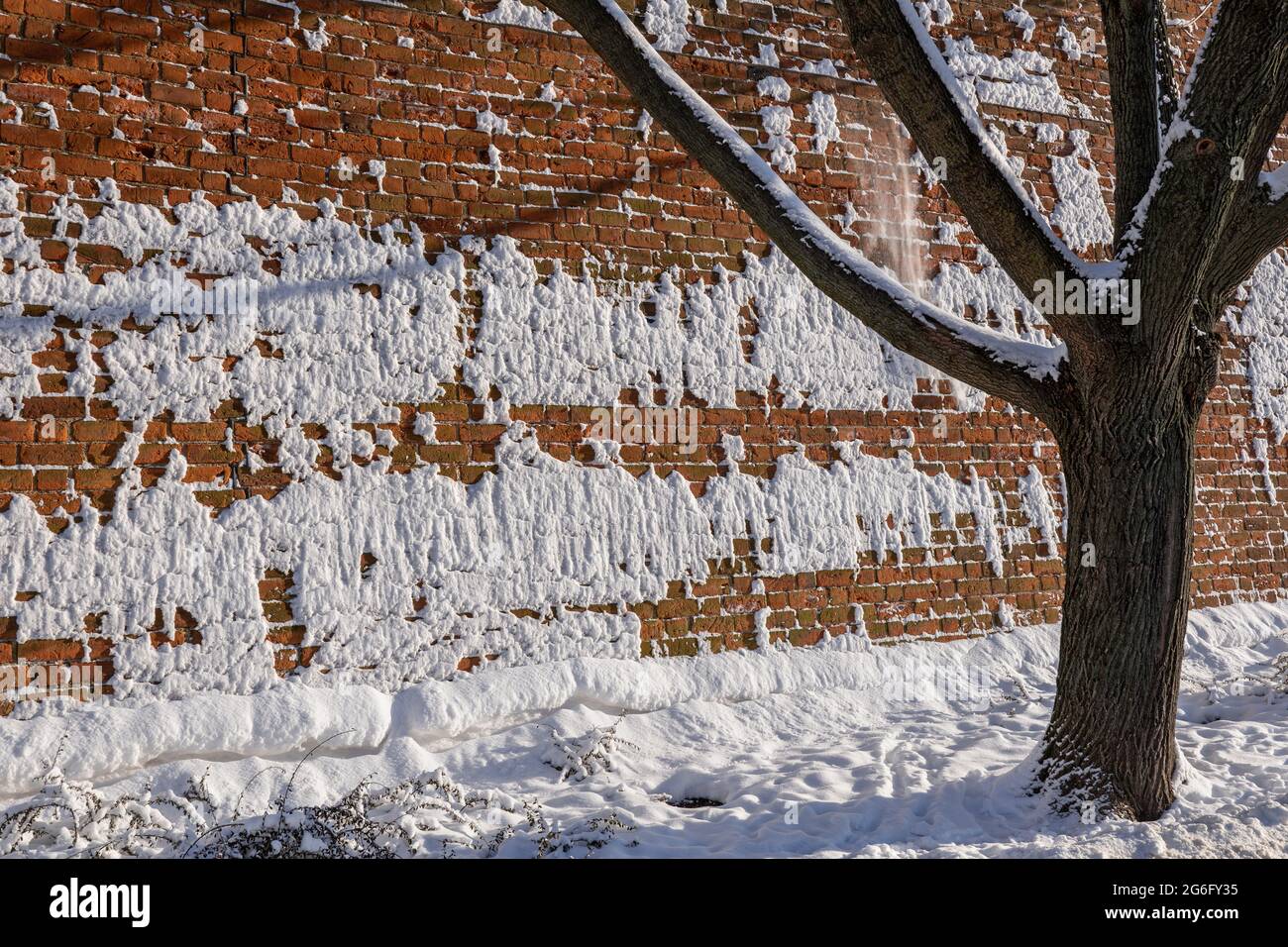 Neve ghiacciata coperta muraglia di mattoni della città fortificazione e un albero in inverno. Foto Stock