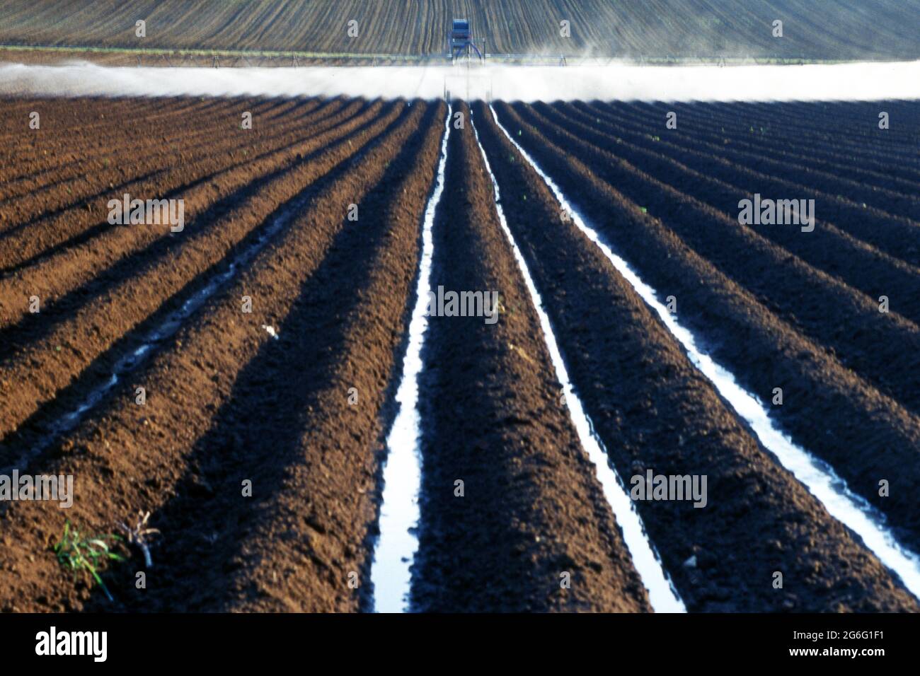 Lavoro agricolo in piana padana Foto Stock