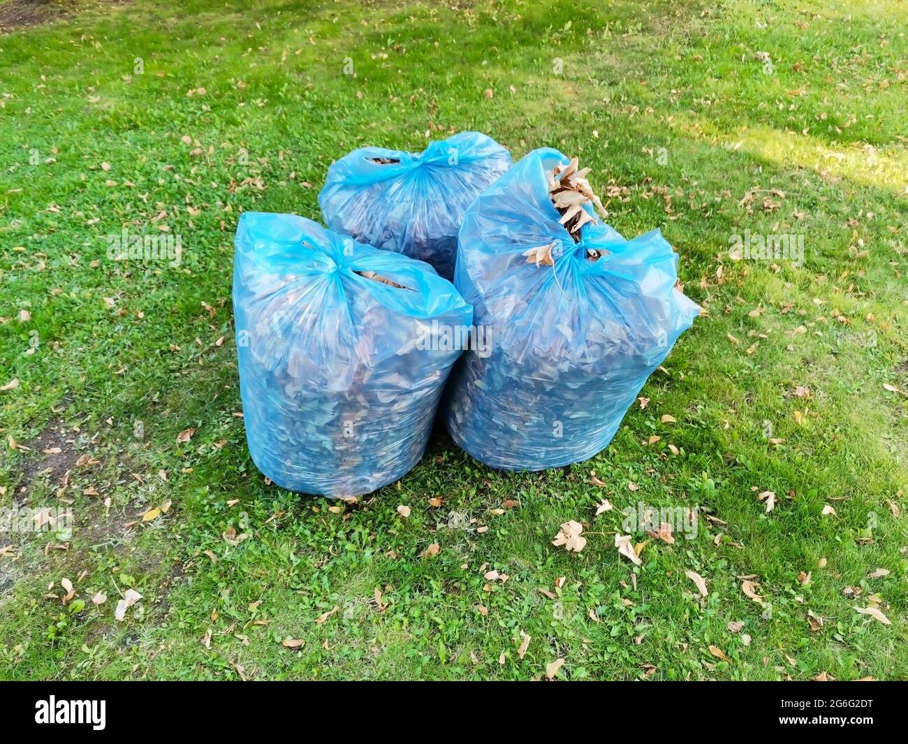 Sacchetto pieno di spazzatura nel giardino. Foto Stock