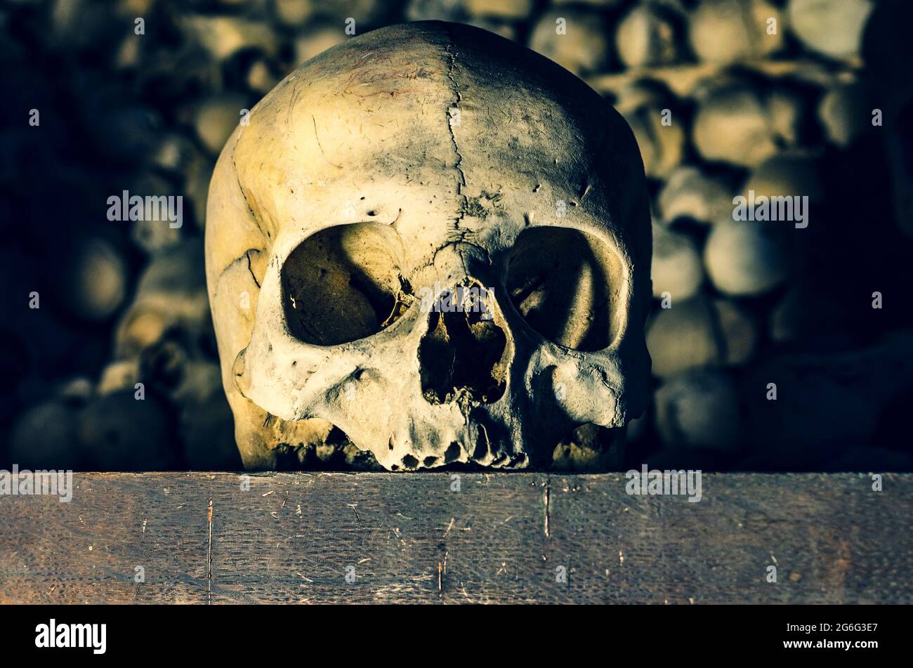 Cranio umano molto vecchio su tavola di legno, con ossa sullo sfondo Foto Stock