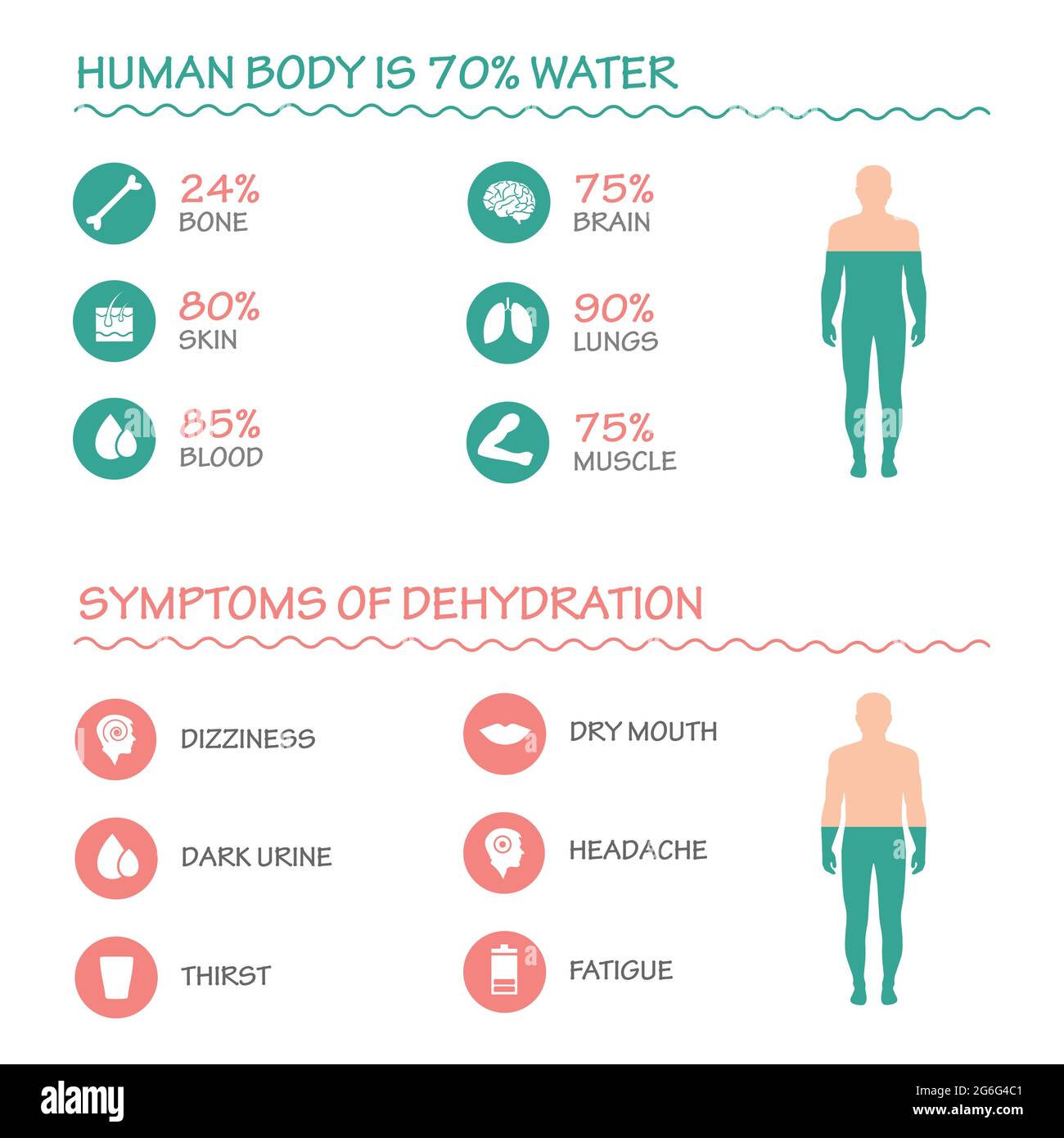 Benefici dell'illustrazione del vettore dell'acqua potabile, infografica dei sintomi di disidratazione. Illustrazione Vettoriale