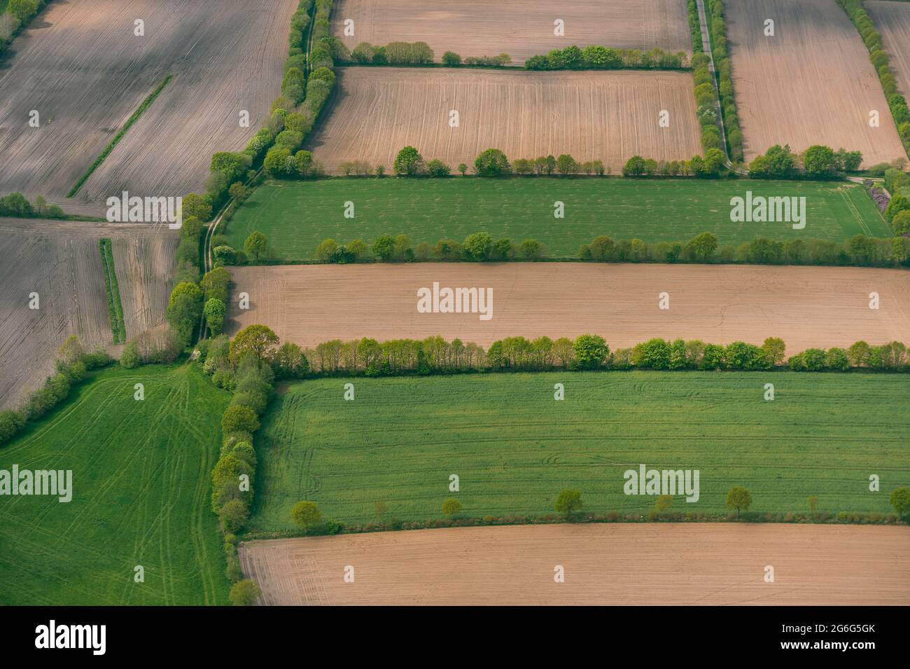Siepi in un paesaggio culturale in primavera, vista aerea 05/10/2020, Germania, Schleswig-Holstein Foto Stock