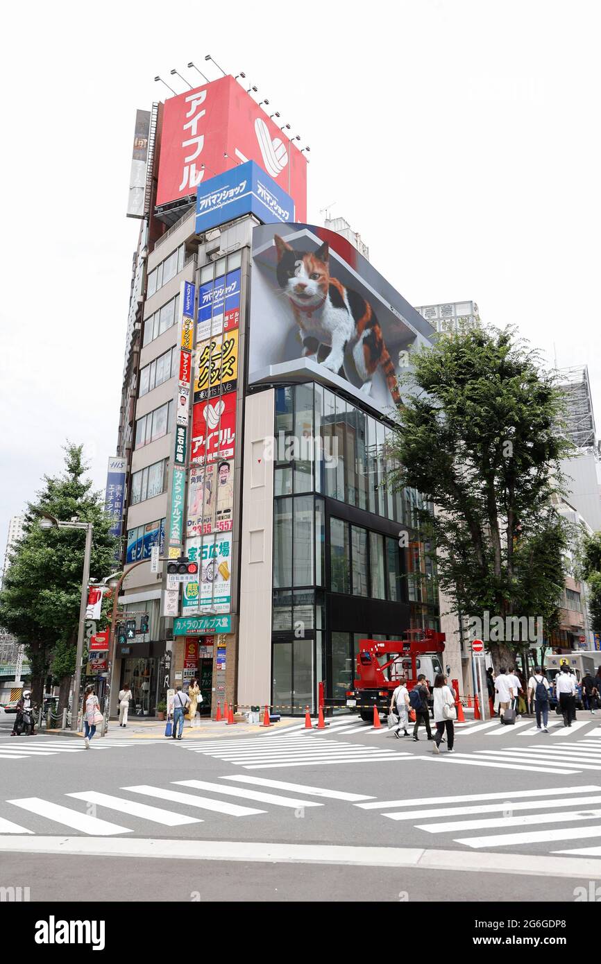 Tokyo, Giappone. 6 luglio 2021. Un cartellone digitale mostra un grande gatto 3-D che si sveglia e guarda i pedoni come se potesse saltare fuori dallo schermo fuori dalla stazione di Shinjuku. Lo schermo curvo a LED può visualizzare immagini 4K, creando un effetto di profondità e un effetto 3D strabiliante dal tetto dell'edificio di recente costruzione di Cross Shinjuku. I nuovi annunci 3D sono andati virali su Internet dopo che la gente ha sparso i video degli annunci a forma di animale saltando fuori dagli schermi in Cina e Corea del Sud. Credit: Rodrigo Reyes Marin/ZUMA Wire/Alamy Live News Foto Stock