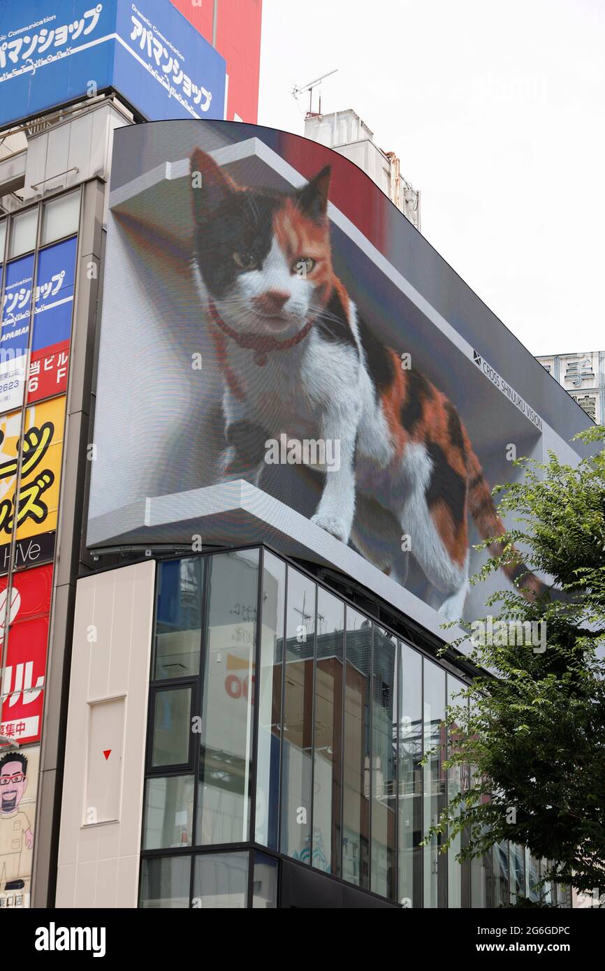 Tokyo, Giappone. 6 luglio 2021. Un cartellone digitale mostra un grande gatto 3-D che si sveglia e guarda i pedoni come se potesse saltare fuori dallo schermo fuori dalla stazione di Shinjuku. Lo schermo curvo a LED può visualizzare immagini 4K, creando un effetto di profondità e un effetto 3D strabiliante dal tetto dell'edificio di recente costruzione di Cross Shinjuku. I nuovi annunci 3D sono andati virali su Internet dopo che la gente ha sparso i video degli annunci a forma di animale saltando fuori dagli schermi in Cina e Corea del Sud. Credit: Rodrigo Reyes Marin/ZUMA Wire/Alamy Live News Foto Stock