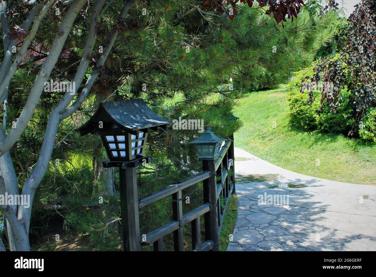 Giardino giapponese e giardino d'arte giapponese, alberi giapponesi Foto Stock