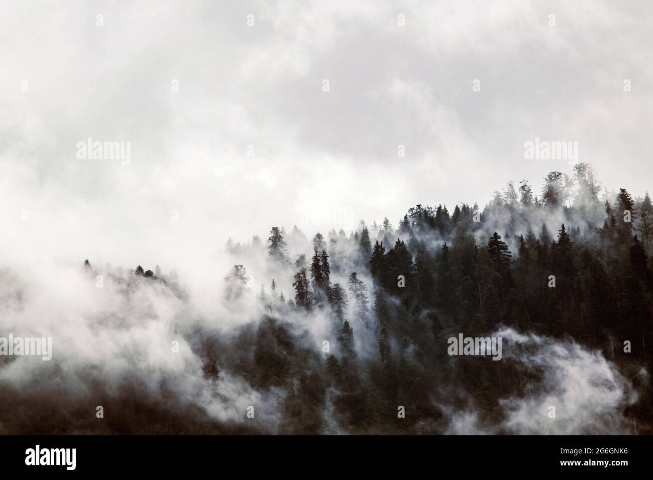 Alcuni alberi che toccano alcune nuvole, Stati Uniti Foto Stock