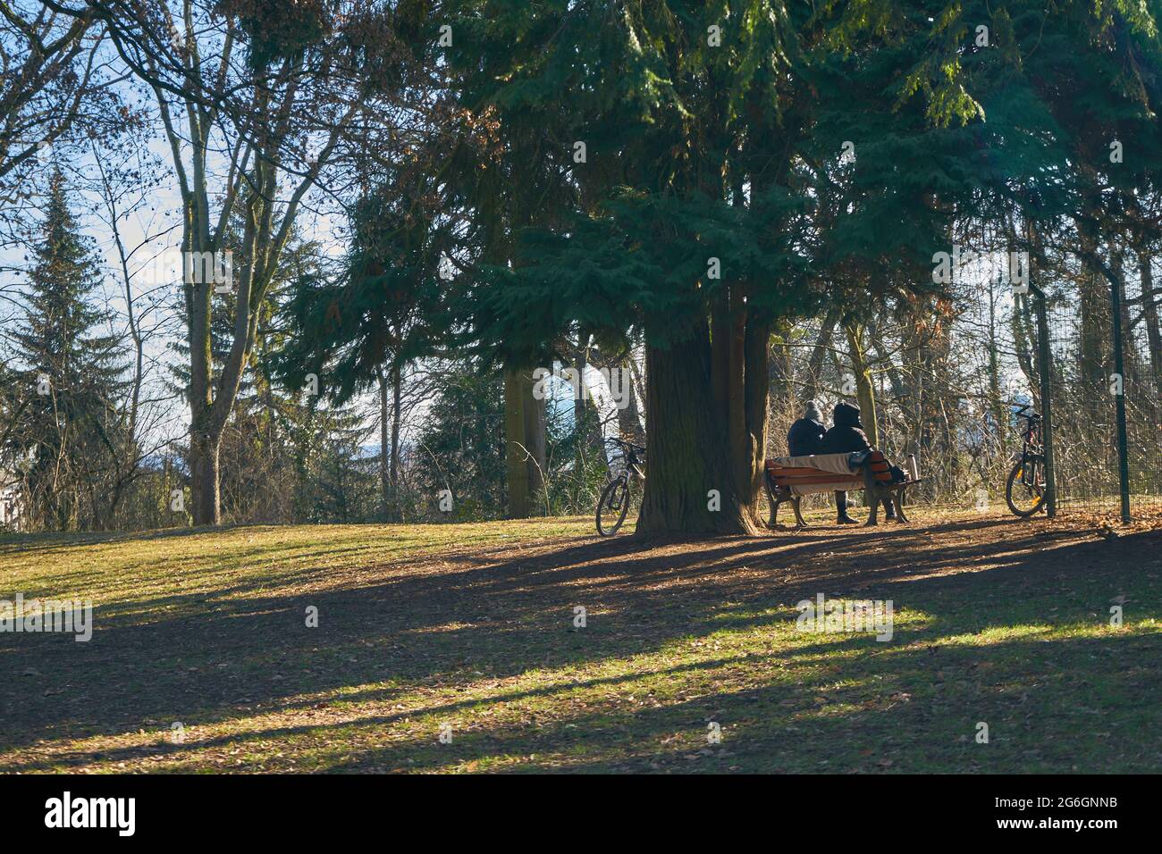 Ein Paar sitzt auf einer Bank unter einem Baum im Wasserpark, Francoforte sul meno, Germania Foto Stock