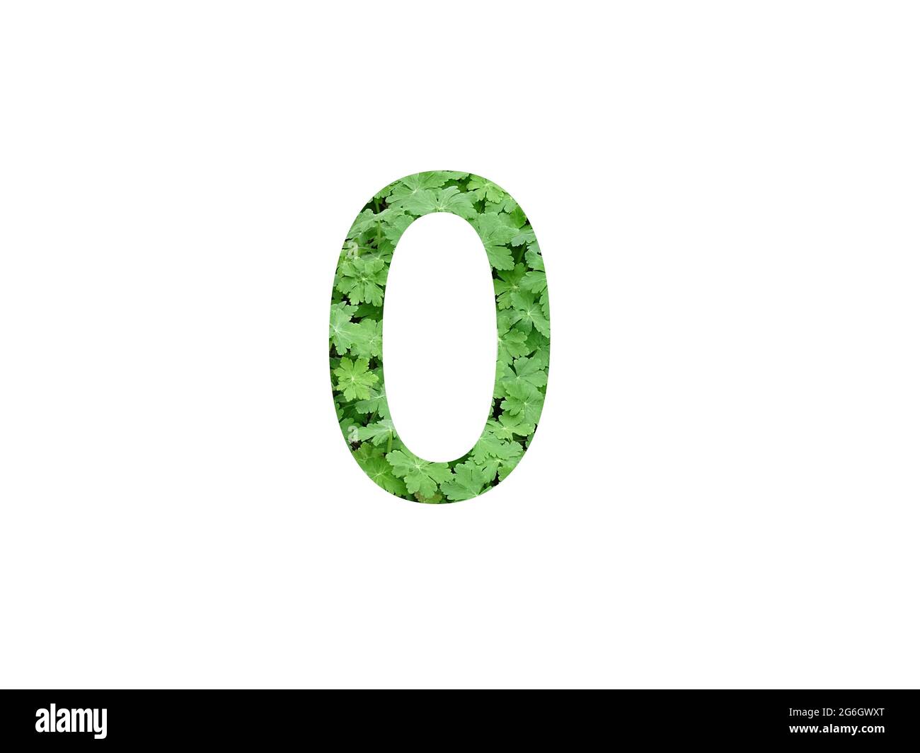 Numero 0 dell'alfabeto realizzato con foglia verde di geranio, isolato su fondo bianco Foto Stock