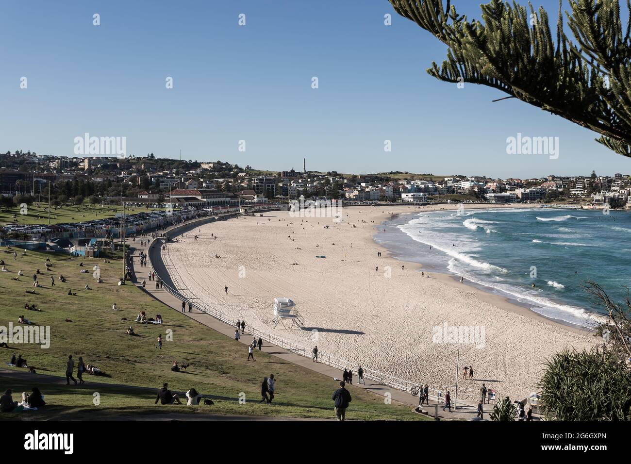 Vedute generali di Bondi Beach dall'area erbosa conosciuta come Bondi Park, Sydney, NSW, Australia. Un'area popolare per picnic rilassanti e godendosi il panorama Foto Stock