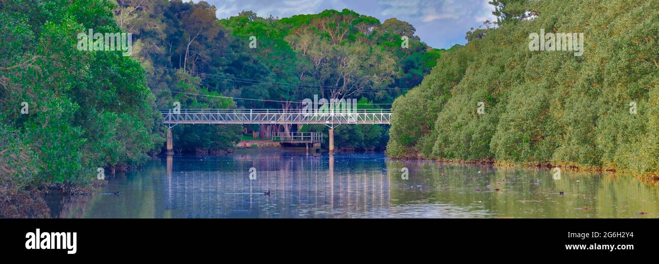 Cooks River si estende con la fauna selvatica e gli alberi di mangrovie lungo la riva del fiume in un sobborgo interno della Sydney Occidentale NSW Australia Foto Stock