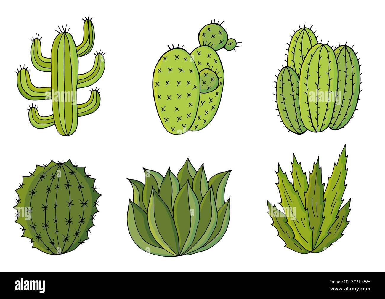 Simpatica illustrazione vettoriale. Set di immagini cartoon di cactus. Cactus, aloe, succulenti in una collezione creativa. Stampa pin. Elementi naturali decorativi sono Illustrazione Vettoriale