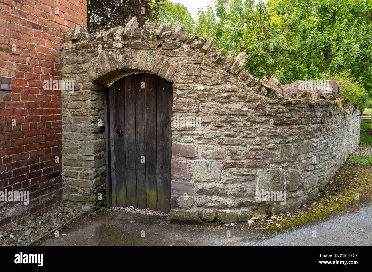 vecchia porta di legno su un muro di pietra vicino ad un giardino Foto Stock
