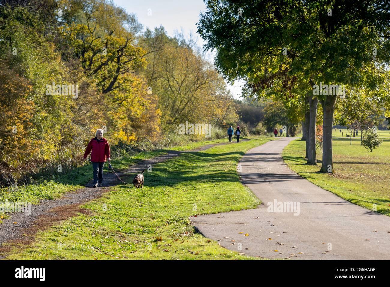 Maldon, Essex, Inghilterra, Regno Unito, fotografia locale Foto Stock