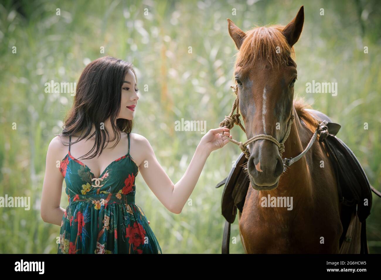 Bella ragazza con cavallo Foto Stock