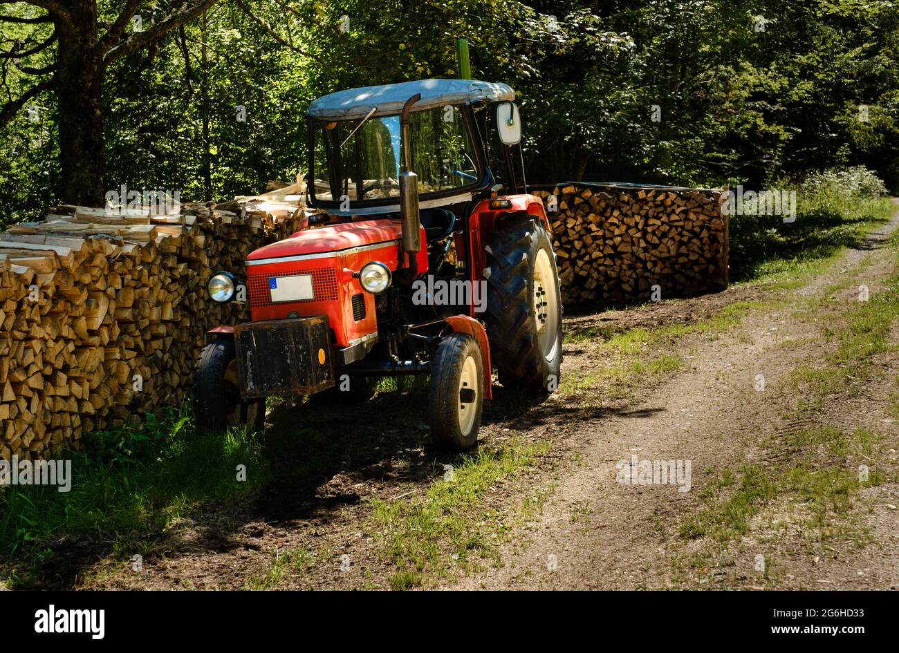 Vecchio trattore rosso accanto a un mucchio di legna all'ombra della foresta. Attrezzatura dell'agricoltore. Foresta Nera, Baden-Wütrttemberg, Germania Foto Stock