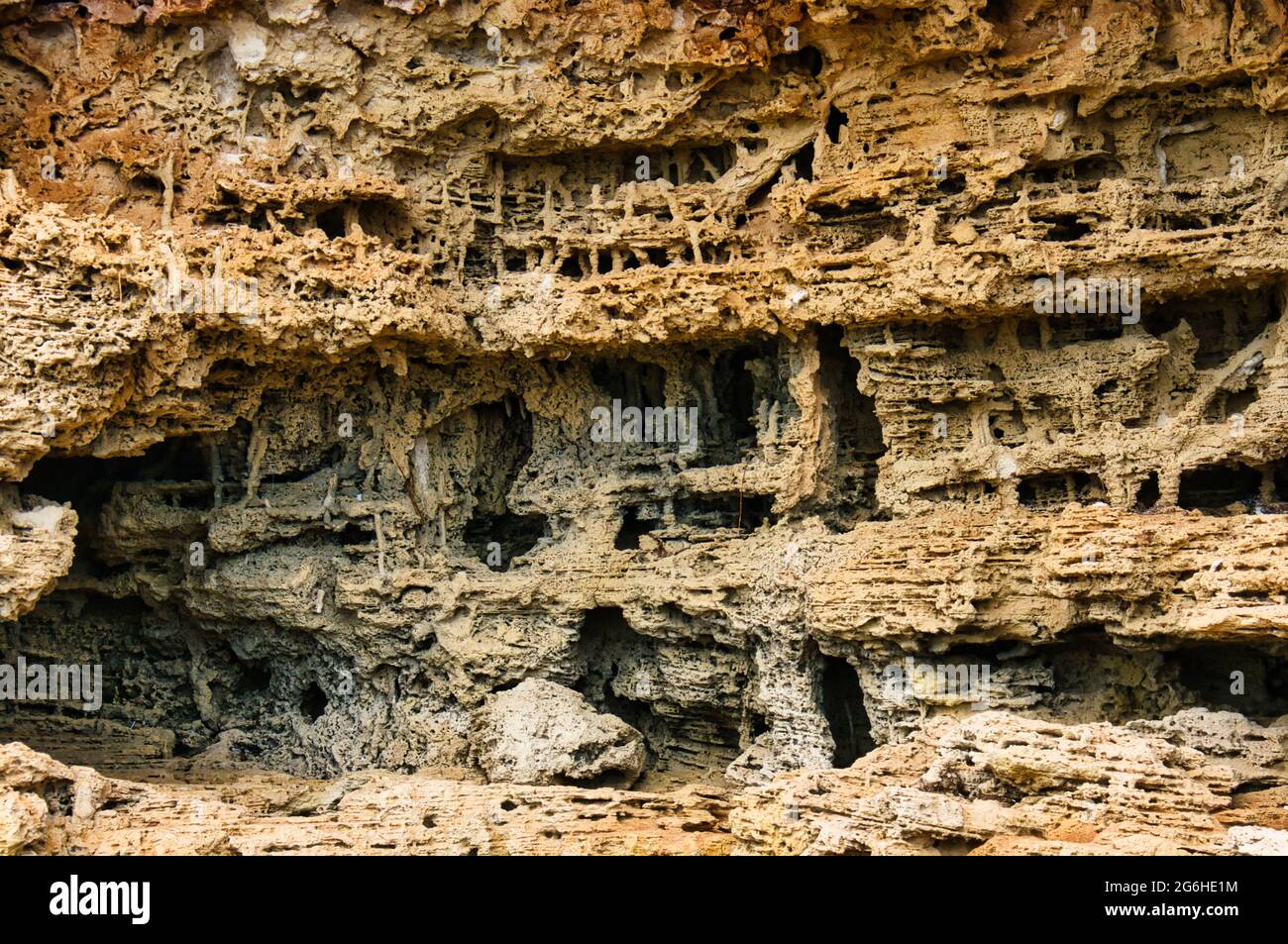 Modelli di erosione in arenaria. I motivi molto complessi con grotte e colonne sembrano una città perduta nei film fantasy Foto Stock