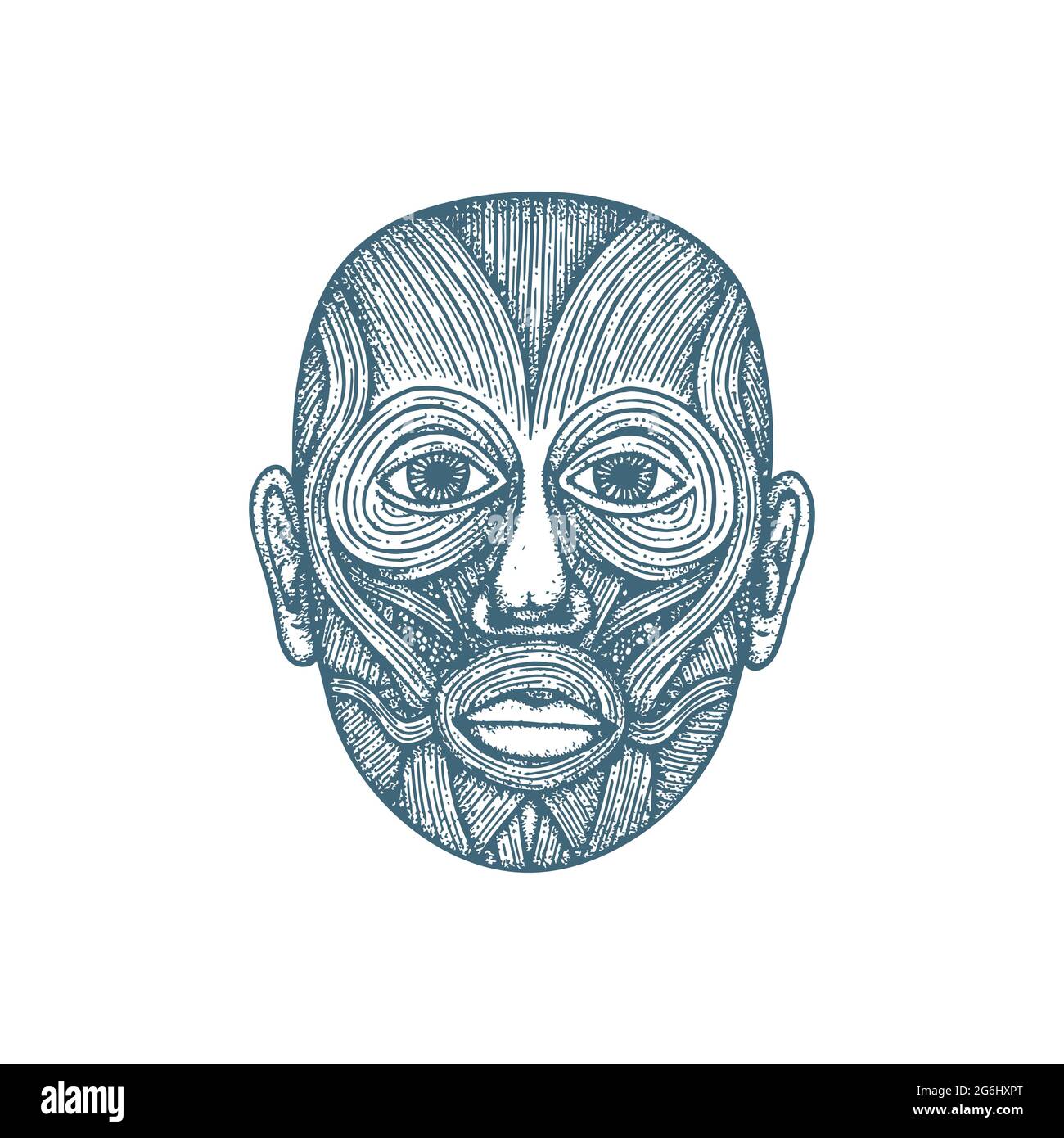 Immagine vettoriale disegnata a mano dell'anatomia del sistema muscolare della testa. Muscolatura del volto umano disegno di stile d'incisione vintage. Poster medico. Parte del set. Illustrazione Vettoriale