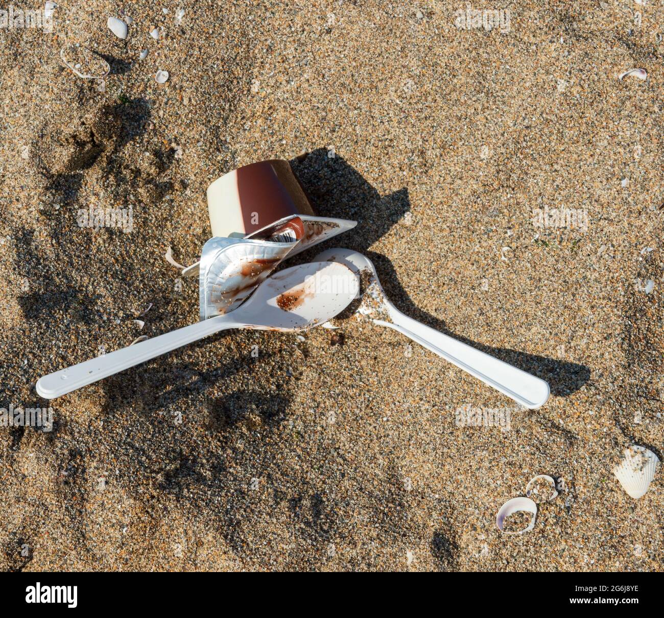 Contenitore di cibo di plastica di spreco sulla spiaggia.contenitore di cibo di plastica Pollution.beach pollution.plastic sul mare Beach.ecological Concept.Close-up plastica Foto Stock