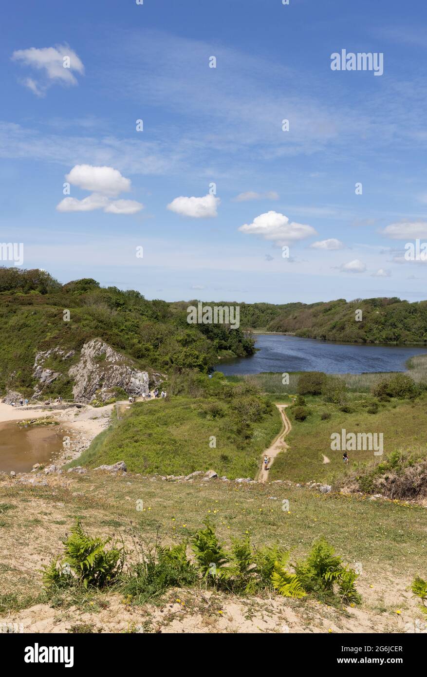 Campagna gallese - laghi e alberi sulla tenuta Stackpole in estate, Pembrokeshire Galles UK Foto Stock